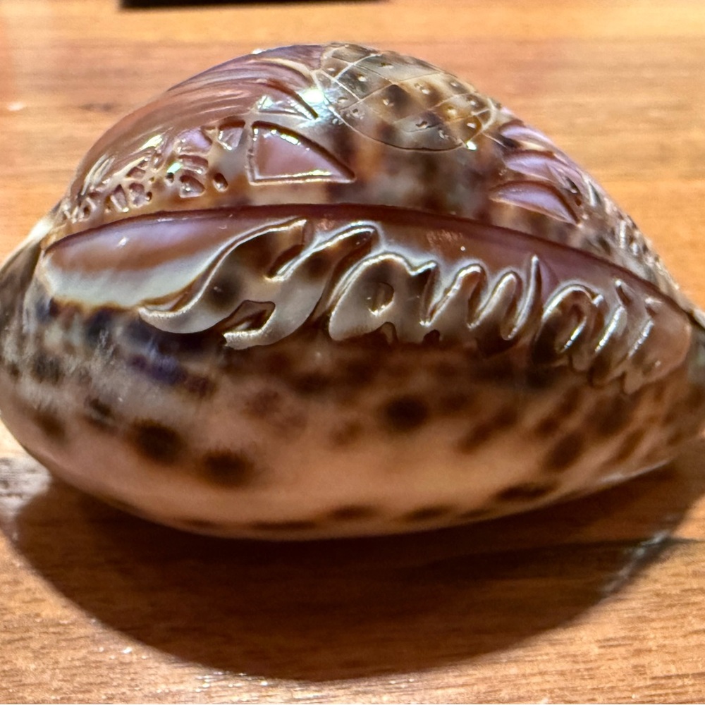 Artist carved shell - Hawaii